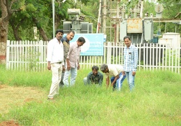 Tree Plantation on Independence Day 2019